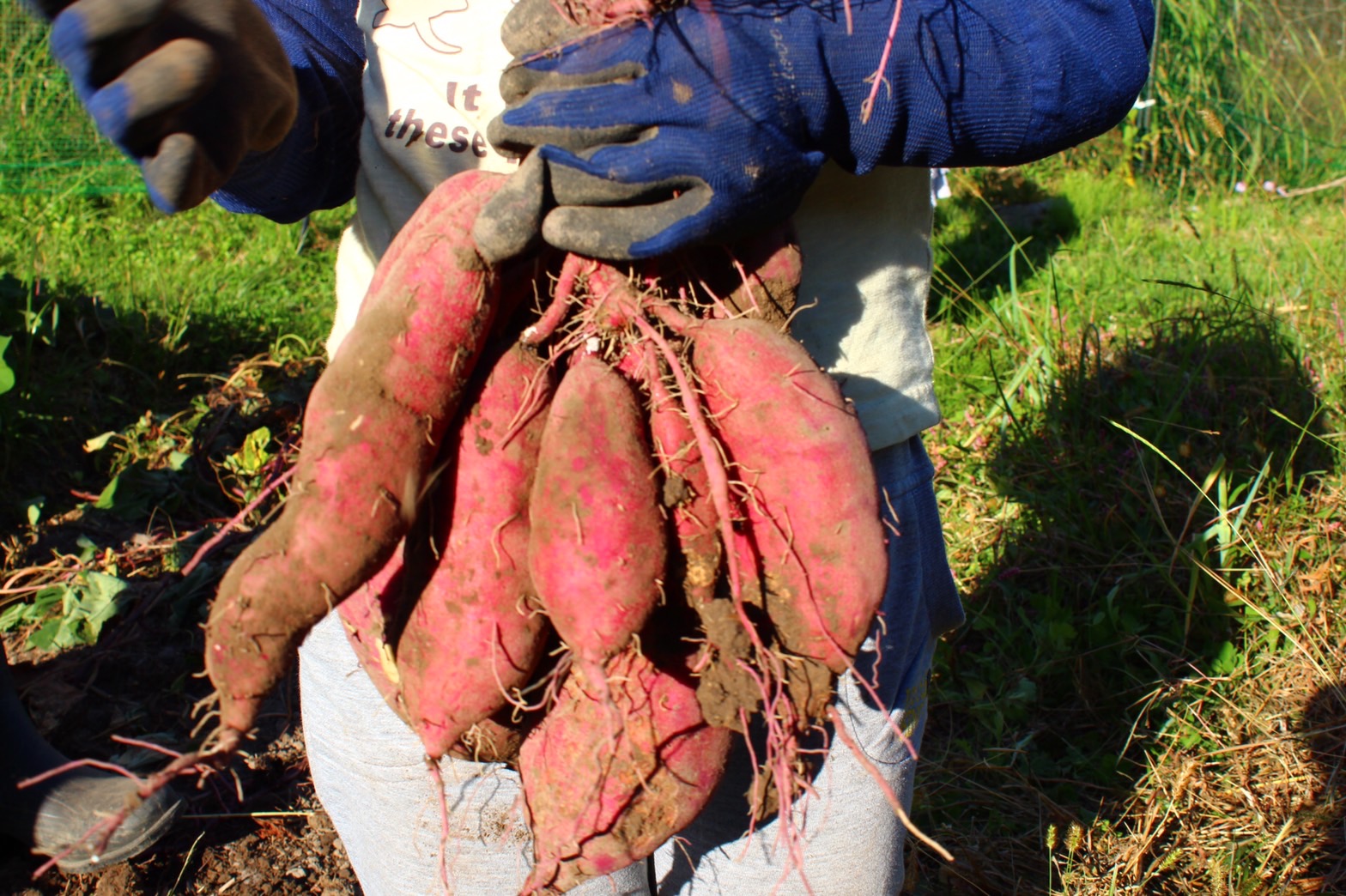 自然の恵ごはん【かさねて】｜安心安全のオーガニック食材を使った自然食