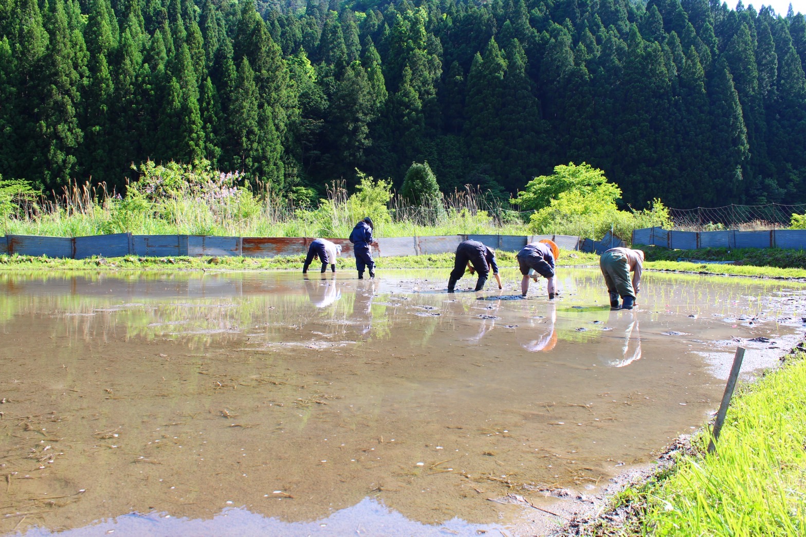 自然の恵ごはん【かさねて】|安心安全のオーガニック食材を使った自然食