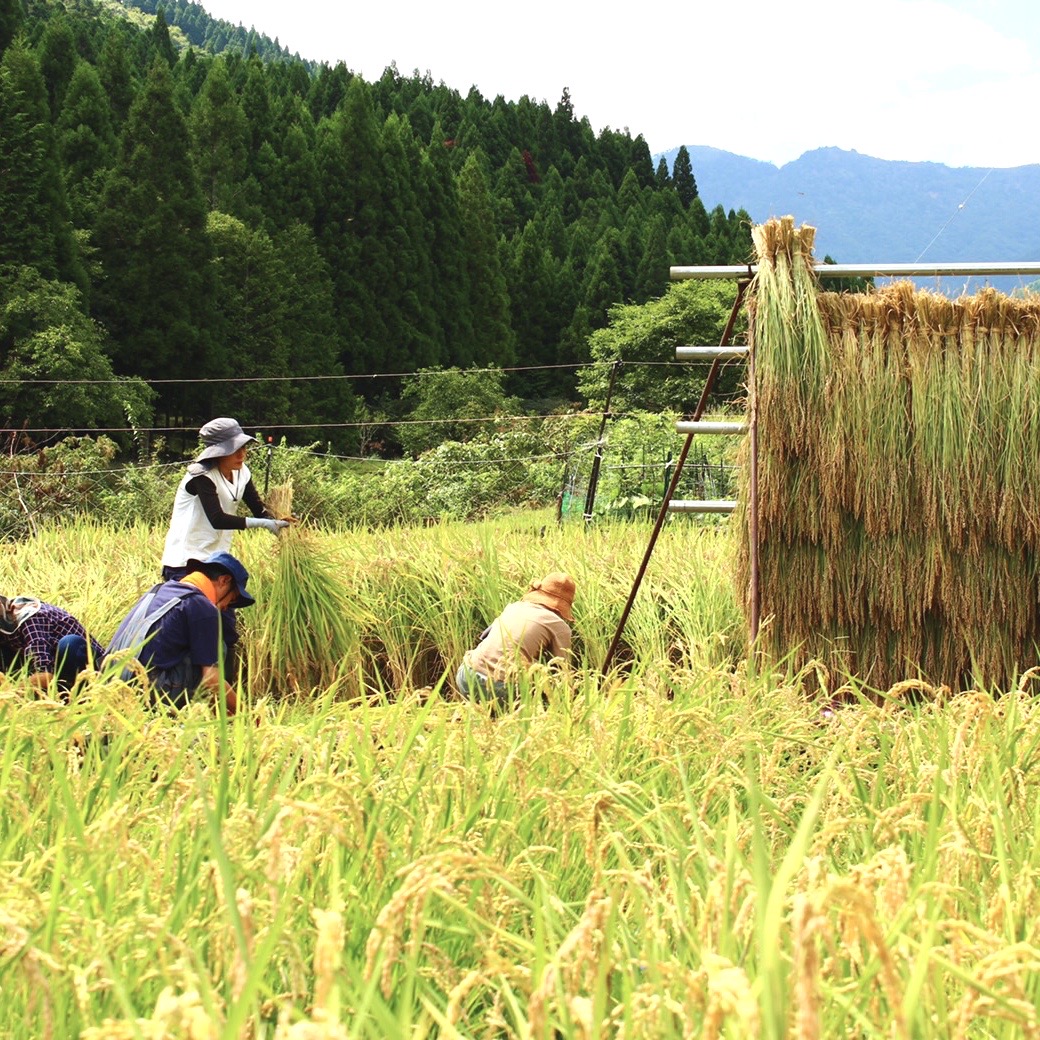 自然の恵ごはん【かさねて】|安心安全のオーガニック食材を使った自然食