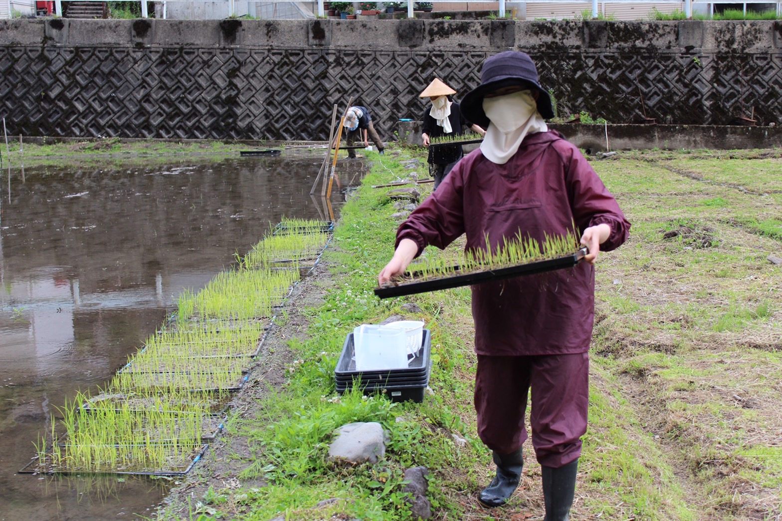 自然の恵ごはん【かさねて】｜安心安全のオーガニック食材を使った自然食