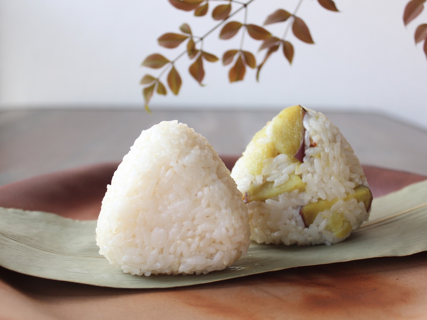 自然の恵ごはん【かさねて】|安心安全のオーガニック食材を使った自然食