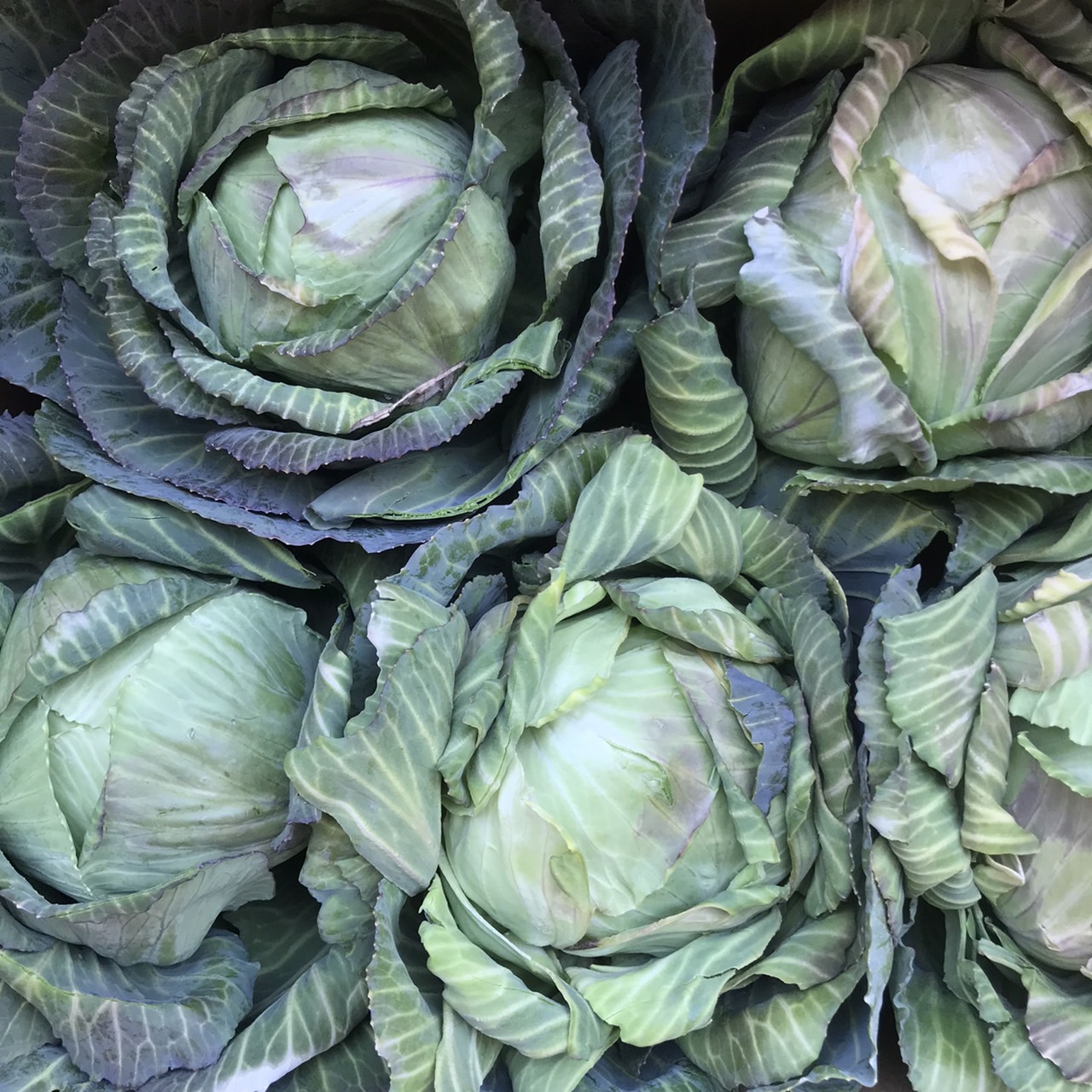 自然の恵ごはん【かさねて】|安心安全のオーガニック食材を使った自然食