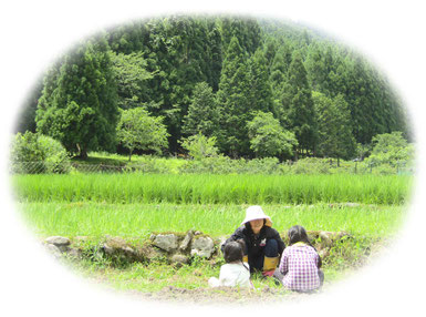 自然の恵ごはん【かさねて】|安心安全のオーガニック食材を使った自然食